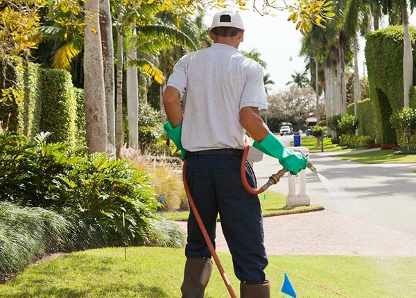 About Clarence IA Pest Control Pros